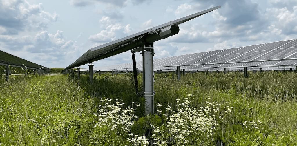 Rivian Solar Farm