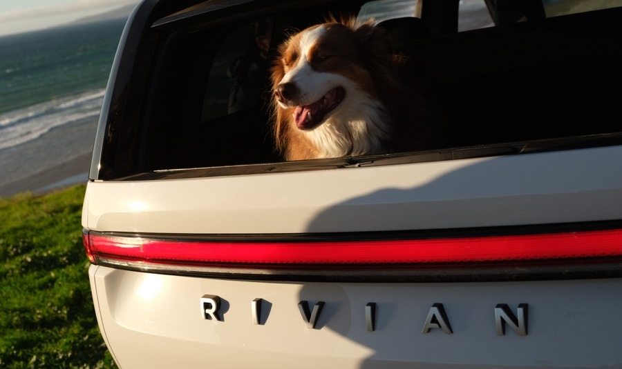 R2 Glacier White Dog