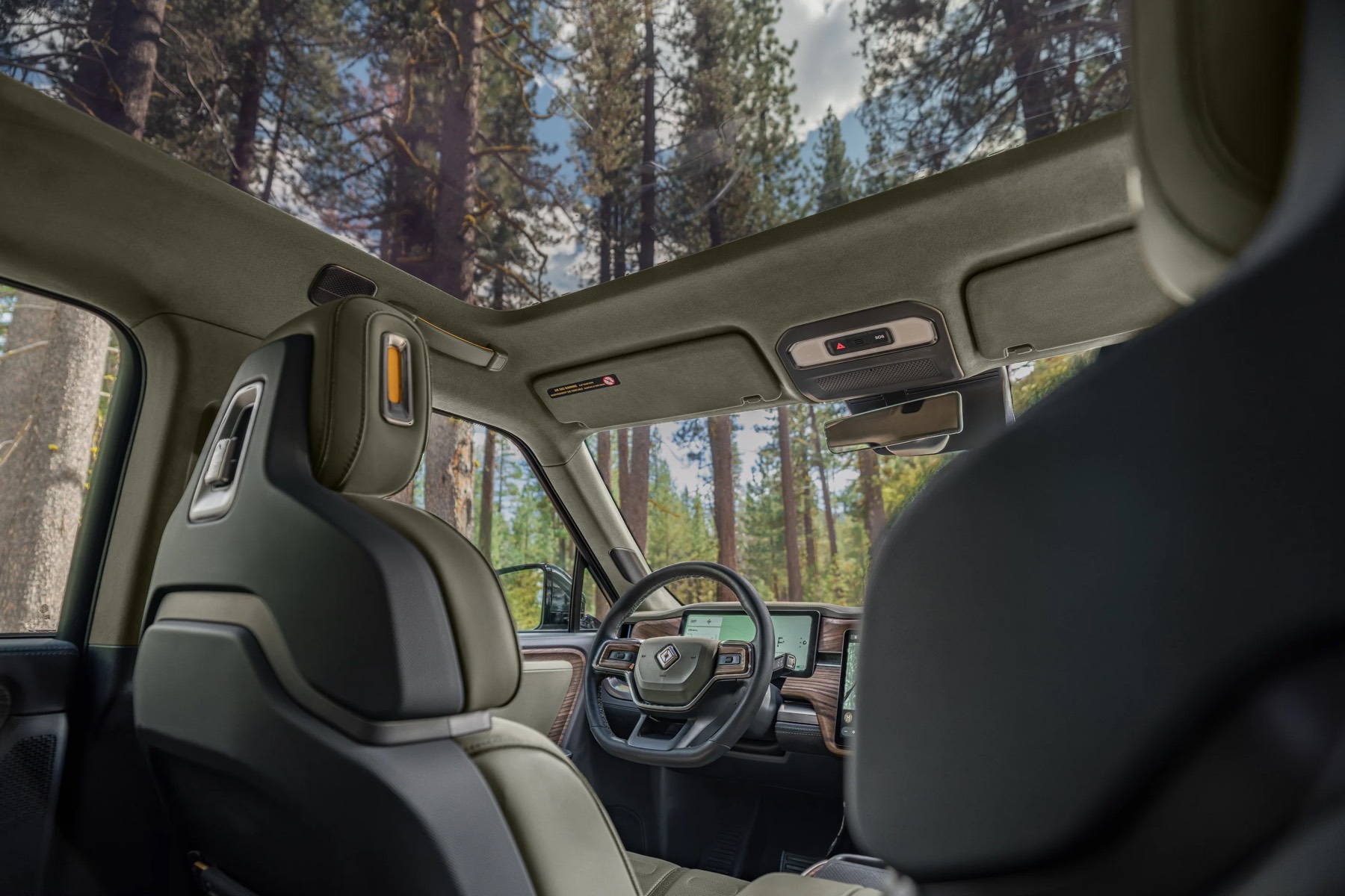 R1 Forest Edge Interior