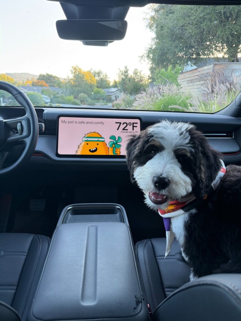 R2 Pet Mode