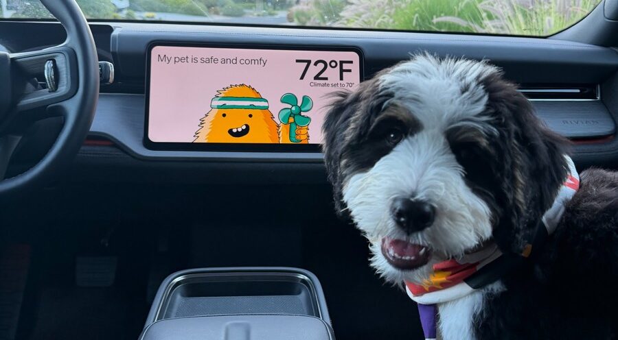 R2 Pet Mode